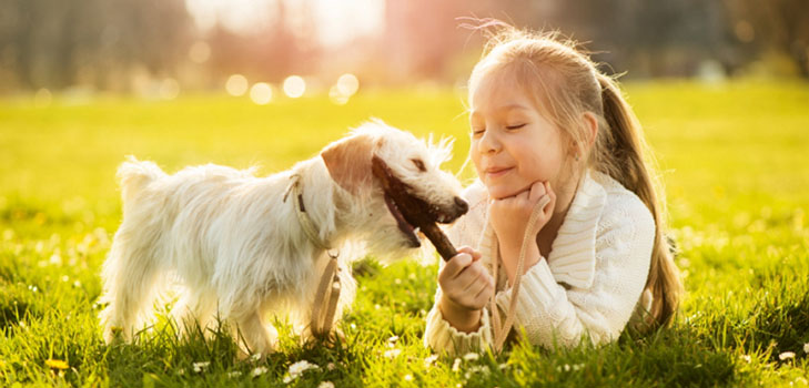 La joie des enfants: quatre raisons d'avoir un animal de compagnie