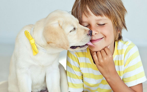 La joie des enfants: quatre raisons d'avoir un animal de compagnie