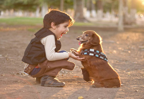 La joie des enfants: quatre raisons d'avoir un animal de compagnie