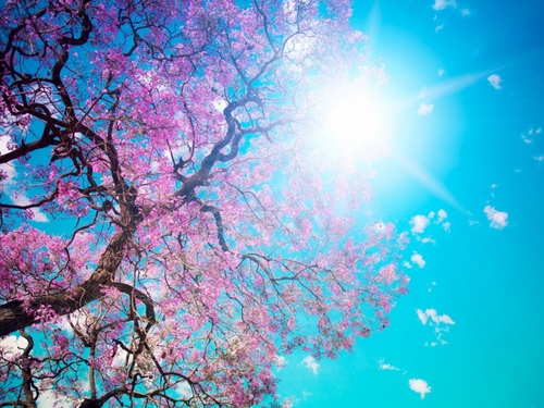 Pause de printemps 2015
