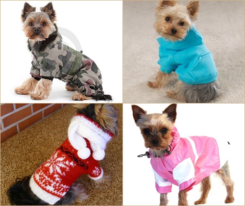 Dress Pet pour l'hiver: Vêtements pour York