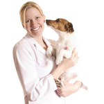 Empoisonnement chez les chiens