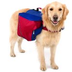 Sac à dos pour un chien Sac à dos pour un chien