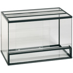 Terrarium par ses propres mains Terrarium par ses propres mains