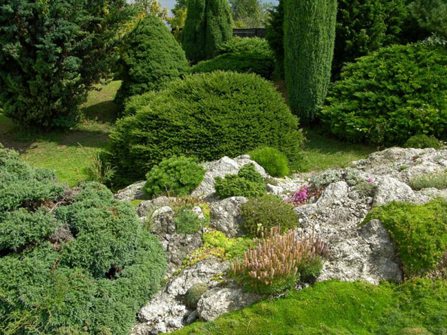 Jardin de roche sur votre site