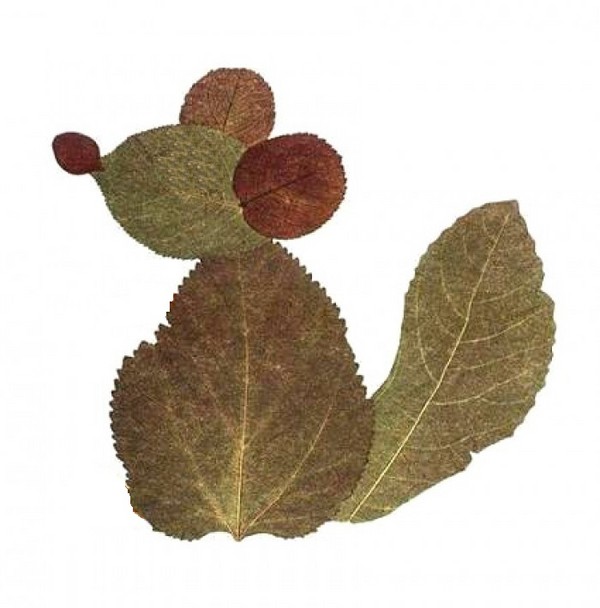 Applique de feuilles d'automne pour la maternelle et 1-2 classes d'école, master classes avec photo et vidéo