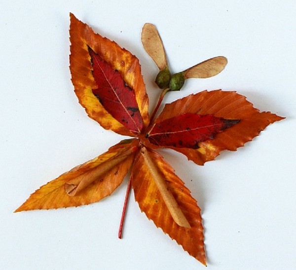 Applique de feuilles d'automne pour la maternelle et 1-2 classes d'école, master classes avec photo et vidéo