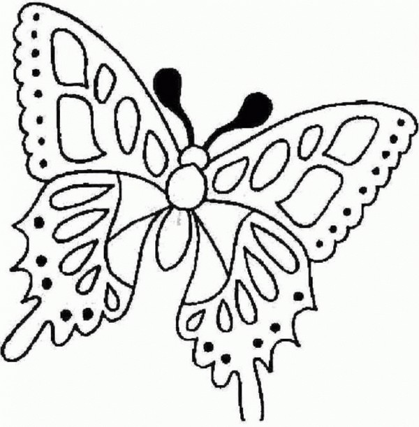 Nous faisons un papillon de papier avec nos propres mains Nous faisons un papillon de papier avec nos propres mains
