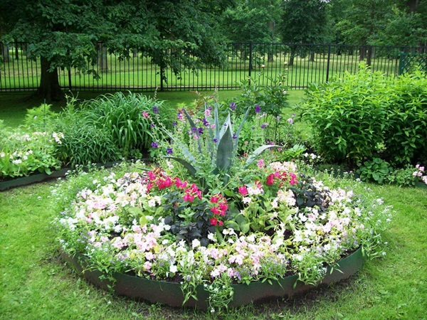 Belles fleurs pour un lit de fleurs