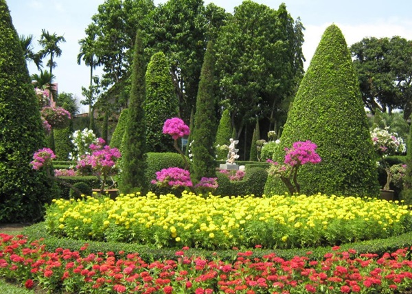 Belles fleurs pour un lit de fleurs