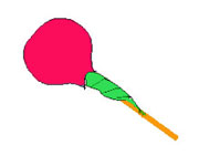 Fleurs de bonbons