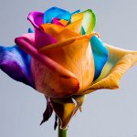 Fleurs pour le 8 mars: bouquets peints d'origine