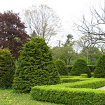 Arbres et arbustes Arbres et arbustes