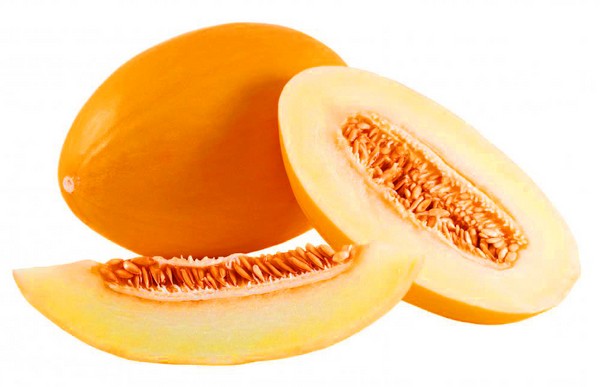 Plantation et soin des melons en pleine terre dans la zone médiane de la Russie