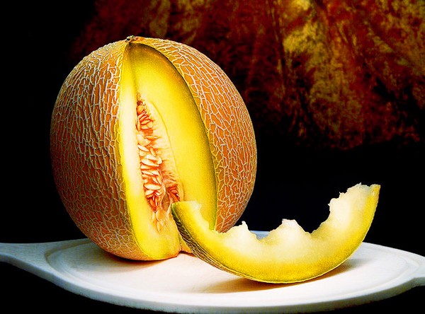 Plantation et soin des melons en pleine terre dans la zone médiane de la Russie