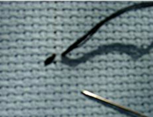 Point de tapisserie: classe de maître de broderie