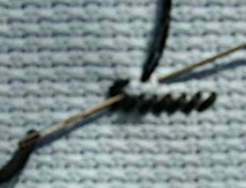 Point de tapisserie: classe de maître de broderie