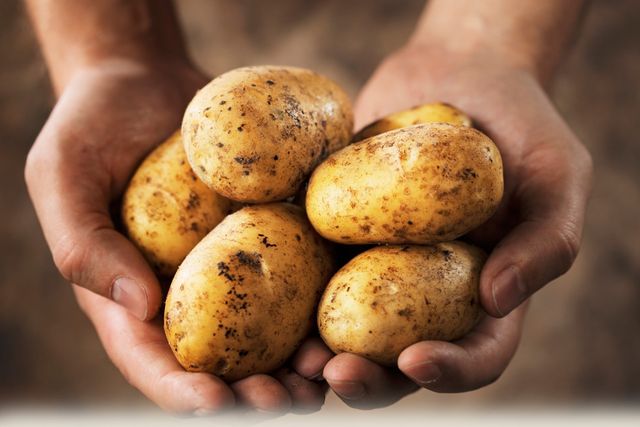Comment conserver les pommes de terre en hiver