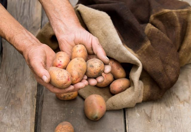 Comment conserver les pommes de terre en hiver