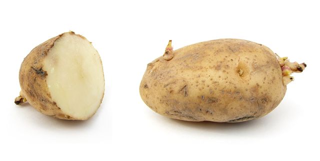 Comment conserver les pommes de terre en hiver