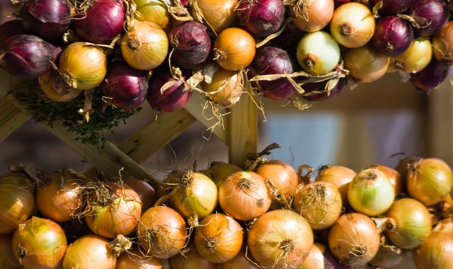 Stockage de l'oignon à la maison en hiver