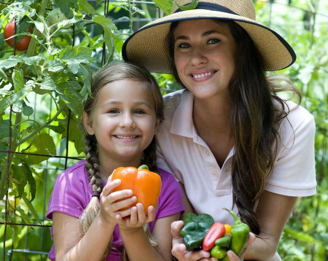 Comment faire face aux fourmis de jardin