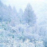 Comment photographier l'hiver? Comment photographier l'hiver?