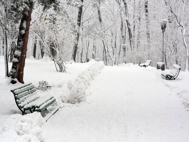 Comment photographier l'hiver? Comment photographier l'hiver?