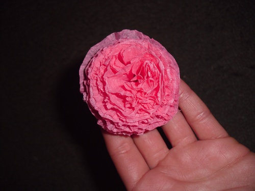 Des oeillets de papier coloré de leurs propres mains le 9 mai