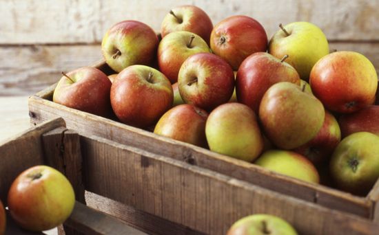 Comment garder les pommes en hiver