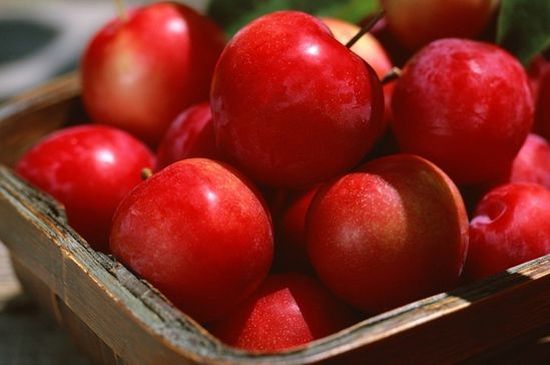 Comment conserver les pommes à la maison pour l'hiver. Comment conserver les pommes au réfrigérateur, cave