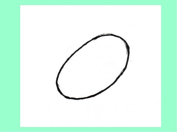 Comment dessiner un oiseau dans les étapes avec un crayon