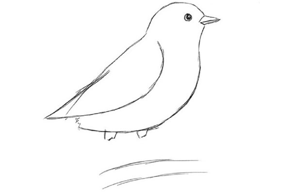 Comment dessiner un oiseau dans les étapes avec un crayon
