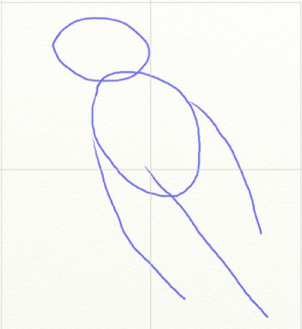 Comment dessiner un oiseau dans les étapes avec un crayon