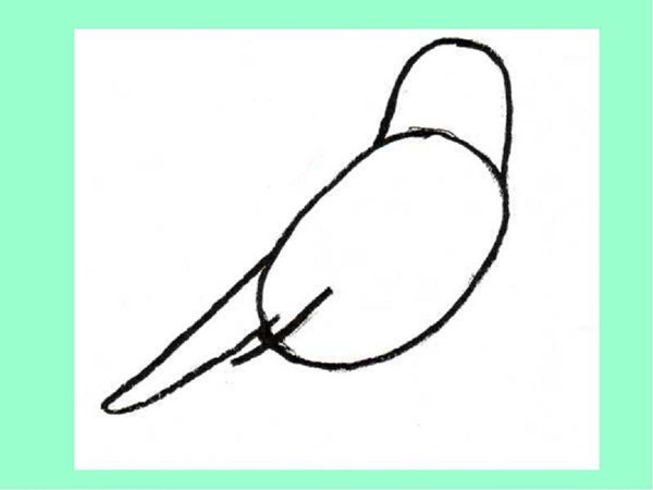 Comment dessiner un oiseau dans les étapes avec un crayon