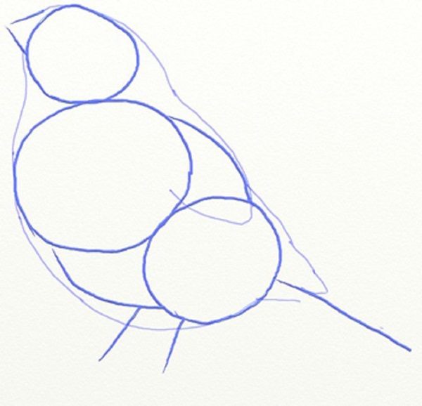 Comment dessiner un oiseau dans les étapes avec un crayon