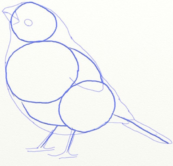 Comment dessiner un oiseau dans les étapes avec un crayon