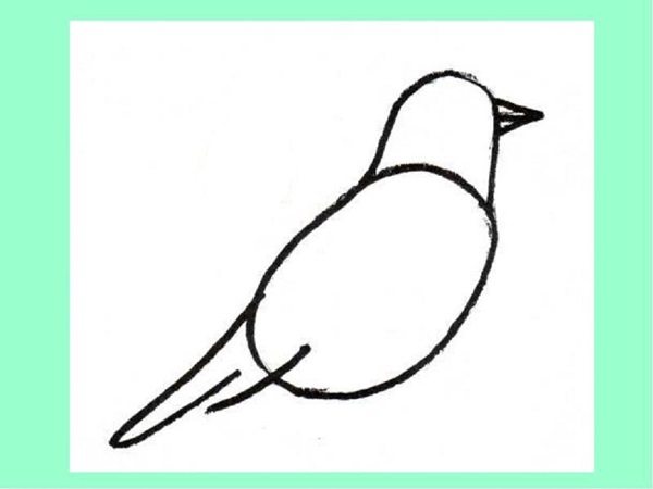 Comment dessiner un oiseau dans les étapes avec un crayon