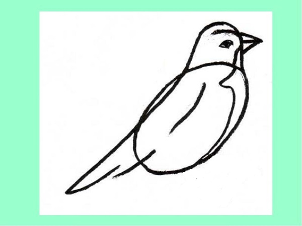 Comment dessiner un oiseau dans les étapes avec un crayon