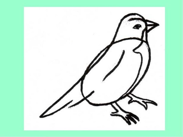 Comment dessiner un oiseau dans les étapes avec un crayon