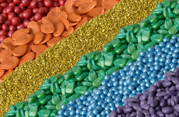 Comment choisir les bonnes graines de légumes pour planter en pleine terre