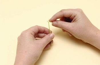 Quilling fleurs de papier pour les débutants