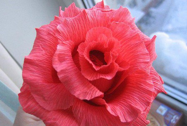 Roses faites de papier ondulé Roses faites de papier ondulé