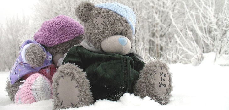 Jouet ours en peluche