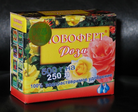 Comment fertiliser les roses: conseils pratiques