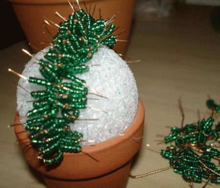 Cactus de perles propres mains