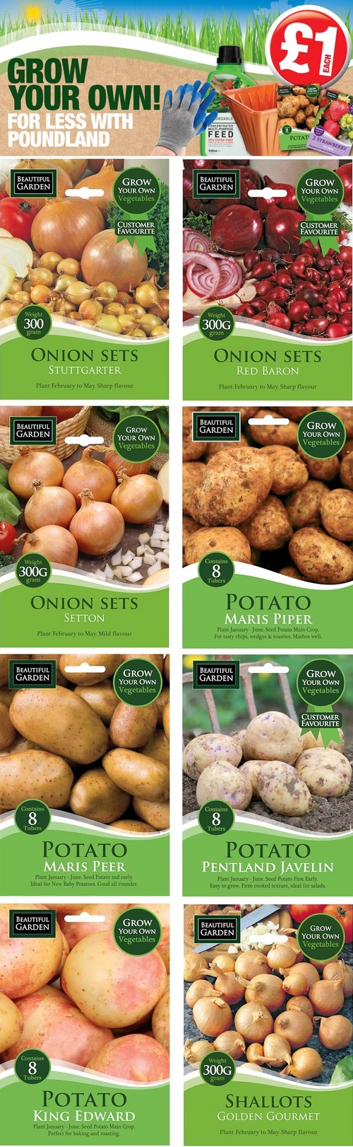 Plants de pommes de terre