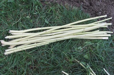 Lit de la fleur de la vigne avec vos propres mains