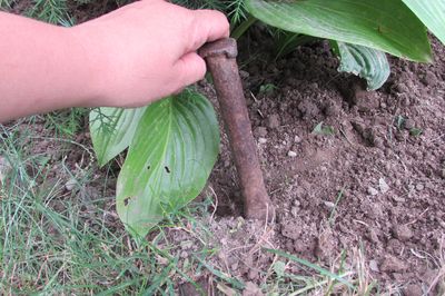 Lit de la fleur de la vigne avec vos propres mains