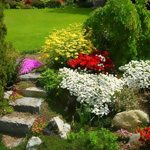 Contrastes dans le jardin Contrastes dans le jardin